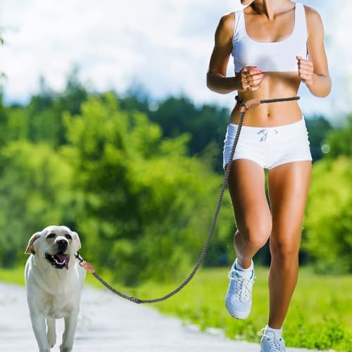 Mile High Life Hands Free Dog Leash, Crossbody Waist Leash - Image 2