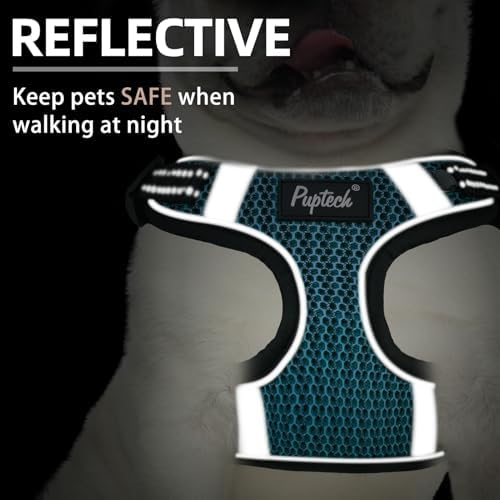 PUPTECK Dog Harness and Leash Set Small Sized, Step in No Pull Adjustable Puppy - Image 4