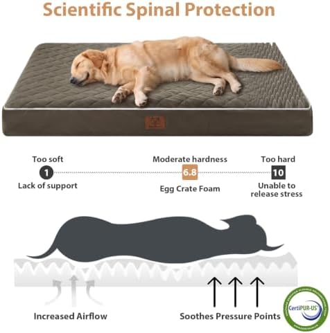 WNPETHOME Orthopedic Waterproof XL Dog Bed - Image 3