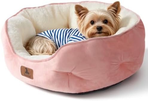 Asvin Medium Dog Bed for Medium Dogs, Cat Beds for Indoor Cats, Pet Bed for - Image 2