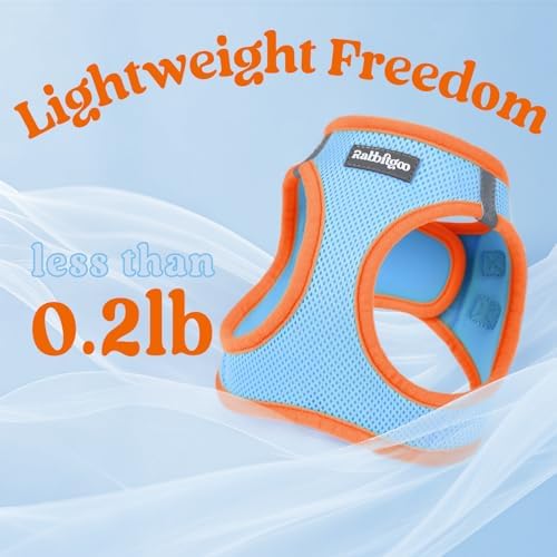 rabbitgoo Dog Harness Small Sized and Leash Set, Step in Soft Vest - Image 7