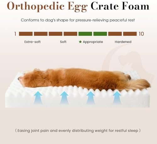 Extra Large Orthopedic Dog Crate Bed - Image 3