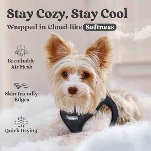 rabbitgoo Step-in Small Dog Harness, Puppy Vest - Image 2