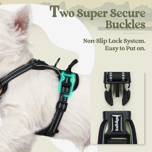 rabbitgoo Dog Harness, No Pull for Small Dogs - Image 3
