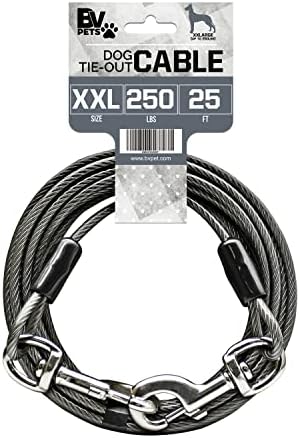 BV Dog Tie Out Cable 25 Feet by BV