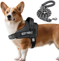 AUROTH Dog Harness and Leash Set Small Sized Dog, No Pull Escape Proof Vest by AurothPets