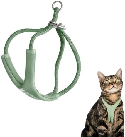 Escape Proof Y Shape Cat Harness Anti-Choke by BuddyArmor