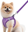 rabbitgoo Dog Harness Small Sized and Leash Set, Step in Soft Vest by rabbitgoo
