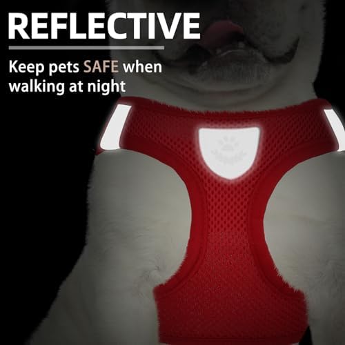 PUPTECK Dog Harness, Collar and Leash Set No Pull - Image 5