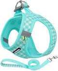 AIITLE Step in Small Dog Harness and Leash Set, Pet Vest, Turquoise XS by AIITLE-FORPETSBETTERLIFE