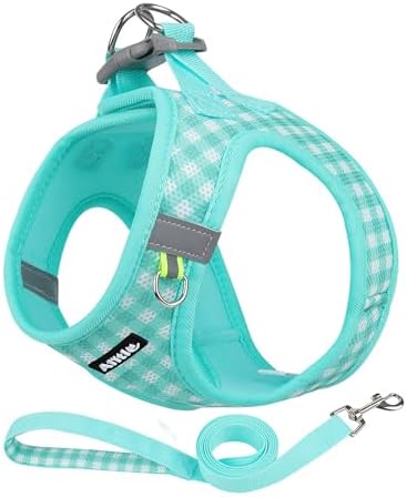 AIITLE Step in Medium Dog Harness and Leash Set, Pet Vest, Turquoise L by AIITLE-FORPETSBETTERLIFE