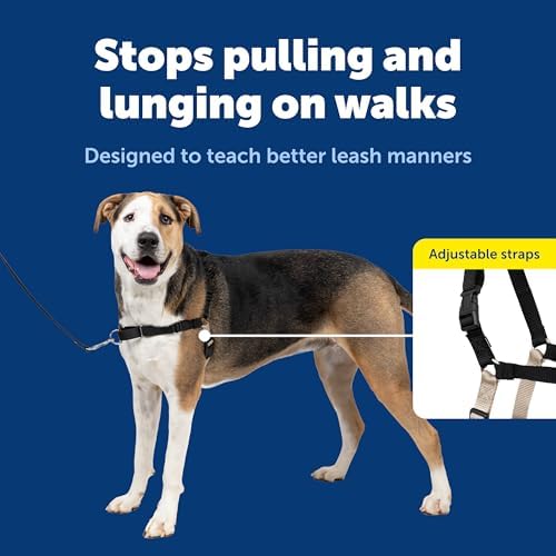PetSafe Easy Walk Harness, No Pull Dog Harness, Extra Large - Image 3