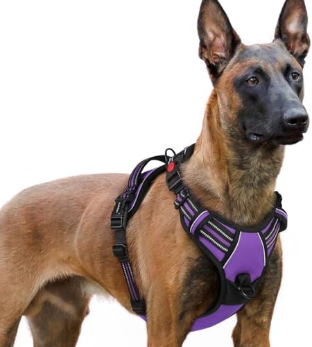 rabbitgoo Dog Harness for Large, Updated Easy On & Off by rabbitgoo