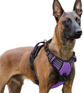 rabbitgoo Dog Harness for Large, Updated Easy On & Off by rabbitgoo