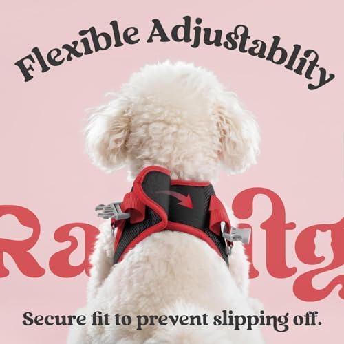 rabbitgoo Dog Harness Small Sized and Leash Set, Step in Soft Vest - Image 5