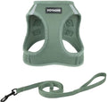 Voyager Step-in Air Cat Harness & Leash Set by BestPetSuppliesLLC