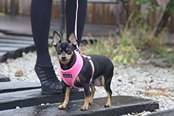 Puppia Soft Dog Harness No Choke Over-The-Head Triple Layered Breathable Mesh - Image 3