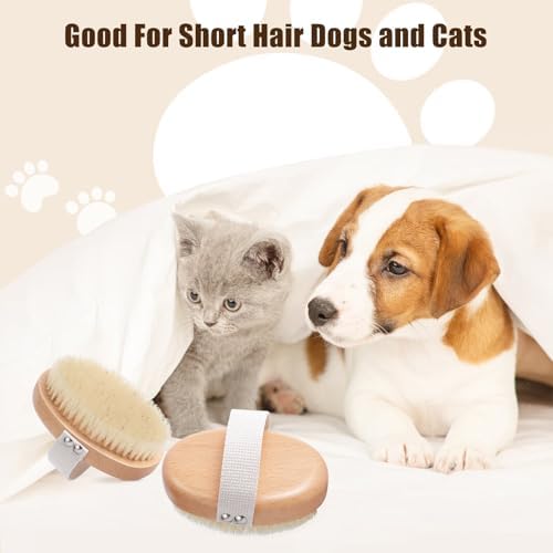 Soft Boar Bristle Pet Palm Brush - Image 5