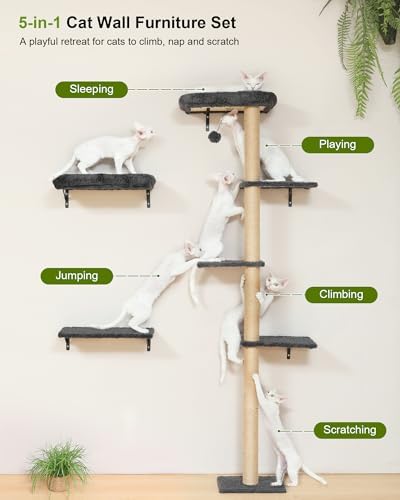 FUKUMARU Cat Wall Shelves Set, 70 inch Wall Mounted Tree - Image 2