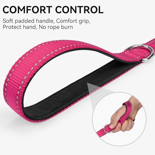 Joytale Reflective Dog Leash for Small Dogs, 4 FT x 3/4" - Image 3