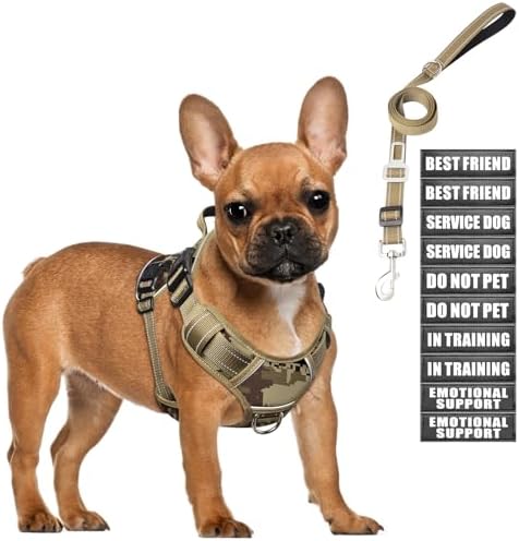 Tactical Service Dog Vest and Leash Set by MOOGROUPETSFRIEND