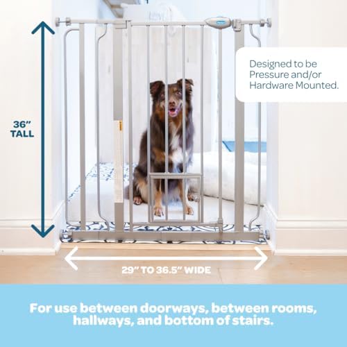 Carlson 36" Extra Tall Walk Through Dog Gate - Image 2