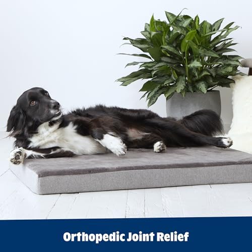 BarkBox Orthopedic Dog Bed - Image 6