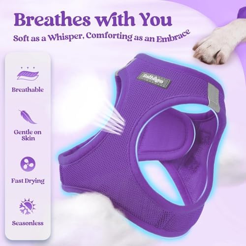 rabbitgoo Dog Harness Medium Sized and Leash Set, Step-in Puppy Pet Vest - Image 4