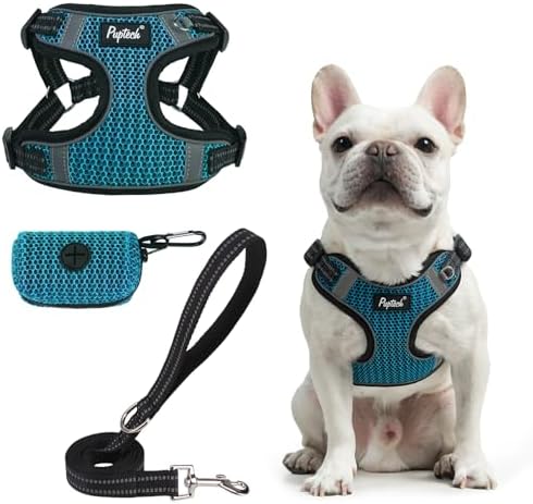 PUPTECK Dog Harness and Leash Set Small Sized, Step in No Pull Adjustable Puppy by PUPTECK