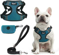 PUPTECK Dog Harness and Leash Set Small Sized, Step in No Pull Adjustable Puppy by PUPTECK