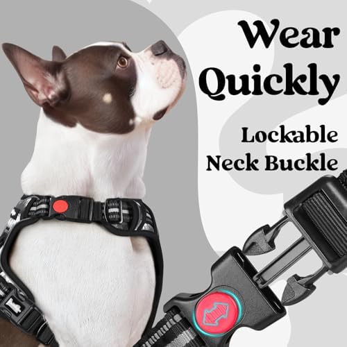 rabbitgoo Dog Harness Medium Sized, Updated Easy On & Off - Image 3