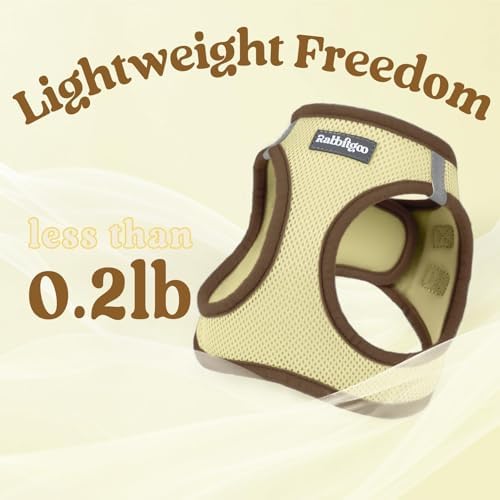 rabbitgoo Dog Harness Small Sized and Leash Set, Step in Soft Vest - Image 7