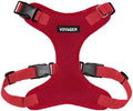 Voyager Step-in Lock Dog Harness by BestPetSuppliesLLC