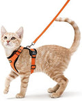 rabbitgoo Cat Harness and Leash Set, Escape Proof Vest by rabbitgoo