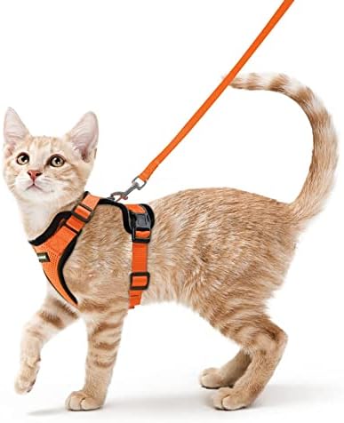 rabbitgoo Cat Harness and Leash Set, Escape Proof Vest by rabbitgoo