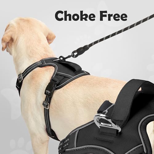 Funfox Dog Harness Medium Sized Dog, Vertical Handle Easy Control, No Pull Pet - Image 3