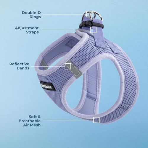 Best Pet Supplies - Image 3