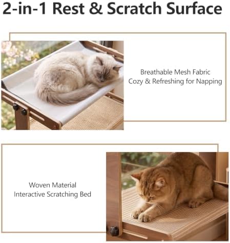 Marchul 2-Tier Cat Window Perch, Window Mount Suction Cup Cat Hammoc - Image 6