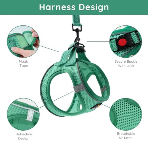 BELLA & PAL Step in Puppy Harness and Leash Set - Image 2