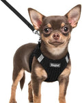 Eagloo Small Dog Harness and Leash Set, Step in Extra Small Puppy Pet Vest by GoExplorewithEagloo