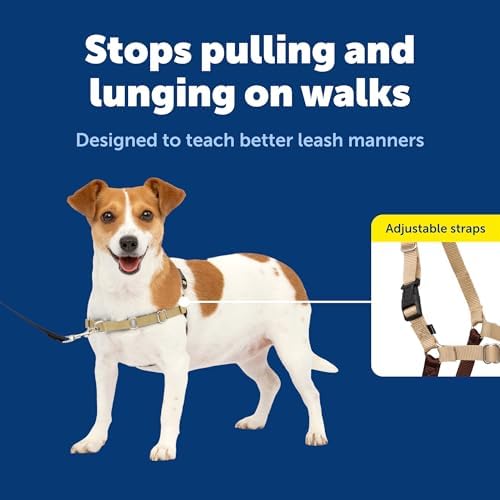 PetSafe Easy Walk Harness, No Pull Dog Harness - Image 3