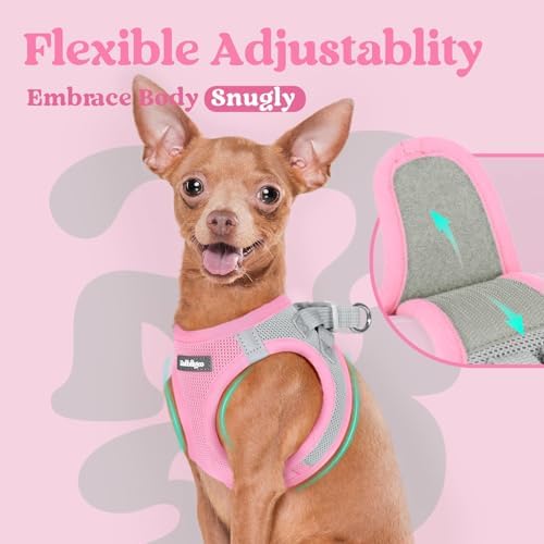 rabbitgoo Step-in Small Dog Harness, Puppy Vest - Image 6