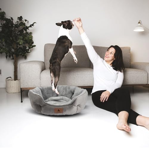 Asvin Large Dog Bed for Large Dogs, Cat Beds for Indoor Cats, Pet Bed for Puppy - Image 6