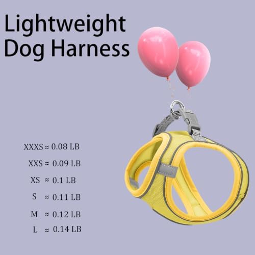 Solmoony Sparkly XXXS Dog Harness and Leash Set, Step in Soft Light Puppy Vest - Image 3
