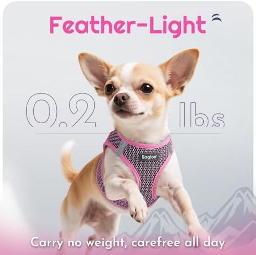 Eagloo Small Dog Harness and Leash Set, Step in Small Sized Puppy Pet Vest - Image 5