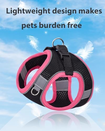 Dog Harness for Small Medium Sized Dog, Step in Puppy Harness and Leash Set - Image 3