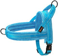 Didog No Pull Dog Harness for Small Dogs, Soft Flannel Padded by Didog