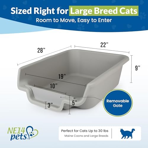 KittyGoHere Senior Cat Litter Box, Low Entry Litter Pan, Jumbo 2 Pack - Image 4