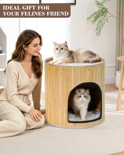 SYANDLVY Large Cat House, Kitten Condo - Image 6
