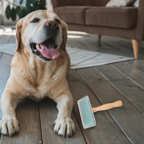 Pet Hair Remover Brush for Dogs and Pets Stainless Needle and Wooden Handle - Image 5